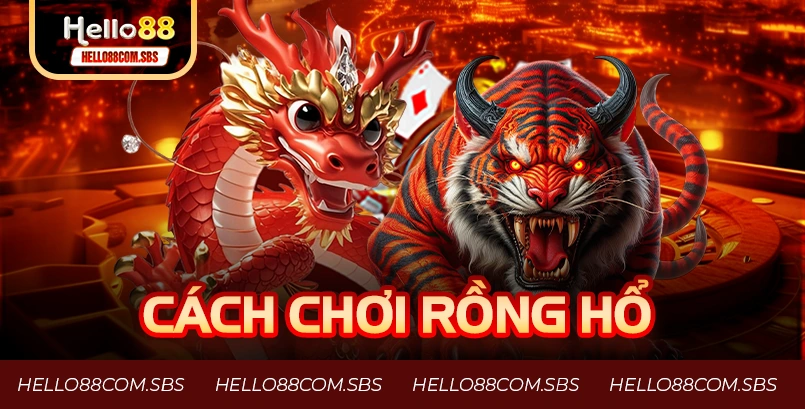 Cách chơi rồng hổ